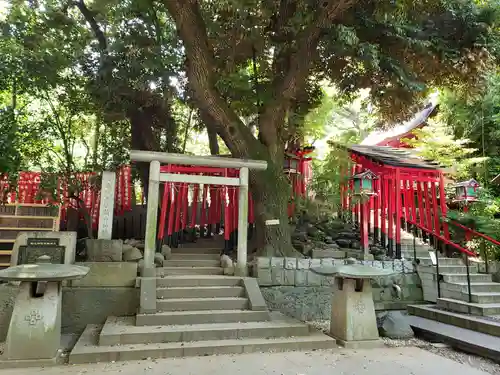 乃木神社の鳥居