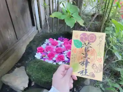 花手水と10月御朱印