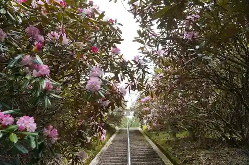 金刀比羅神社(奈良県)