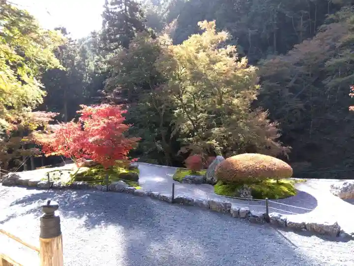 古知谷阿弥陀寺(京都府)