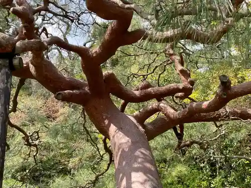 城南宮(京都府)
