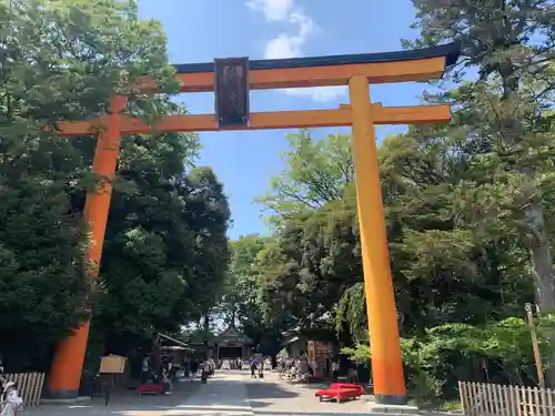 川越氷川神社の鳥居