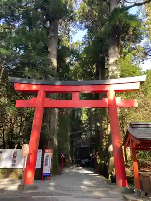 箱根神社の鳥居