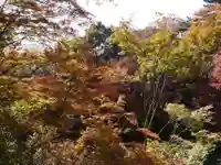 明王院(満願寺別院)の自然