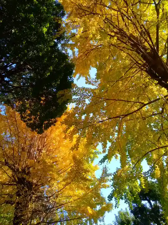 駒込天祖神社(東京都)