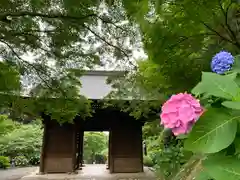 普門寺(切り絵御朱印発祥の寺)の山門