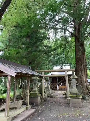 戸隠神社の鳥居