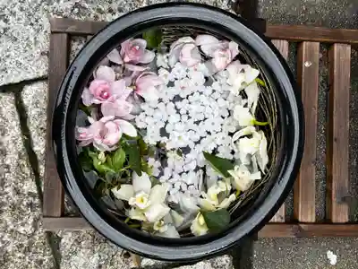 徳島眉山天神社(徳島県)