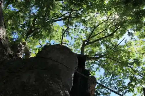阿邪訶根神社の自然