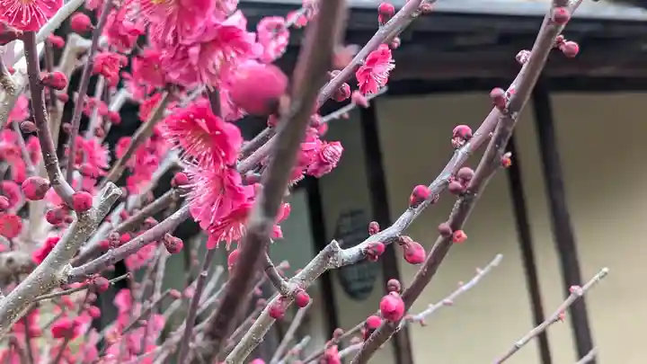 城南宮(京都府)