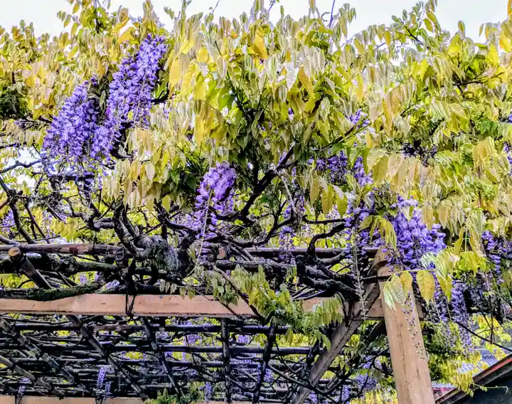 金蛇水神社(宮城県)