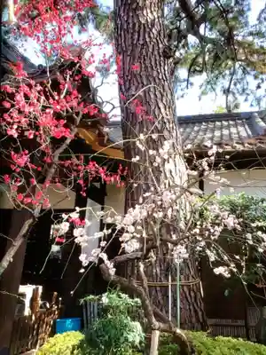 玄国寺(東京都)