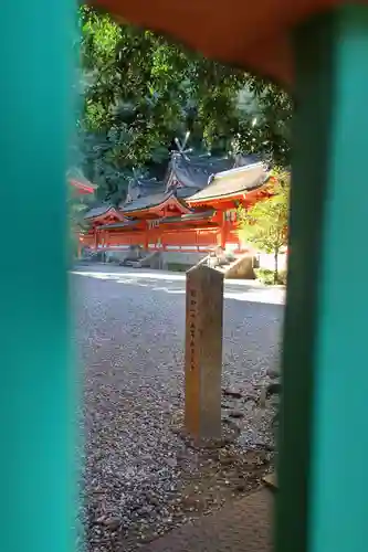 熊野那智大社の本殿・本堂