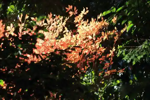 鹿島大神宮の庭園