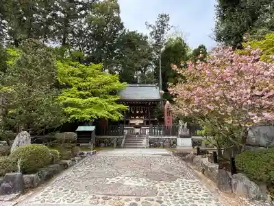 今宮神社(京都府)