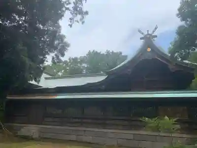 浜松八幡宮の本殿・本堂