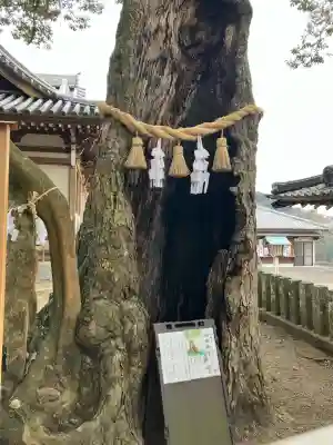 八幡竃門神社(大分県)