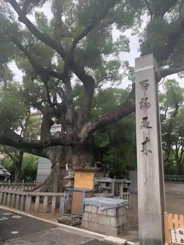 杭全神社の自然