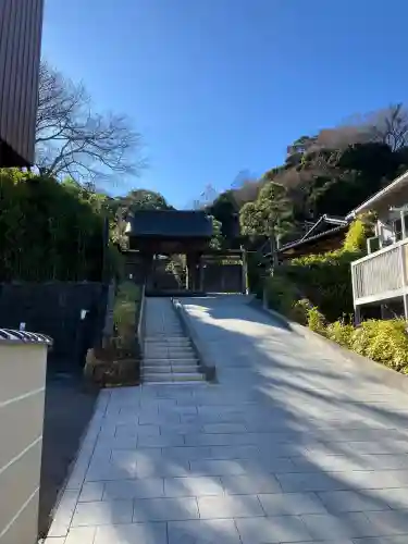 禅居院の{uncategorized: "未分類", other: "その他", undefined: "問題あり", building: "その他建物", grave: "お墓", sacred_gate: "鳥居", guardian: "狛犬", statue: "像", buddha: "仏像", history: "歴史", nature: "自然", garden: "庭園", animal: "動物", pagoda: "塔", temizu: "手水舎", mountain_gate: "山門・神門", sanctuary: "本殿・本堂", subordinate: "末社・摂社", art: "芸術", scenery: "景色", jizo: "地蔵", ema: "絵馬", goshuin: "御朱印", omikuji: "おみくじ", items: "授与品その他", amulet: "お守り", goshuincho: "御朱印帳", eats: "食事", festival: "お祭り", votive_dance: "神楽", shichigosan: "七五三参", wedding: "結婚式", experience: "体験その他", initially: "初詣", around: "周辺", anti_infection: "感染症対策"}