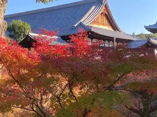 東福禅寺（東福寺）のその他建物