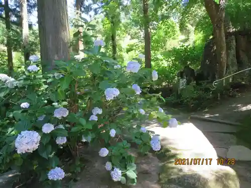 高林寺の庭園