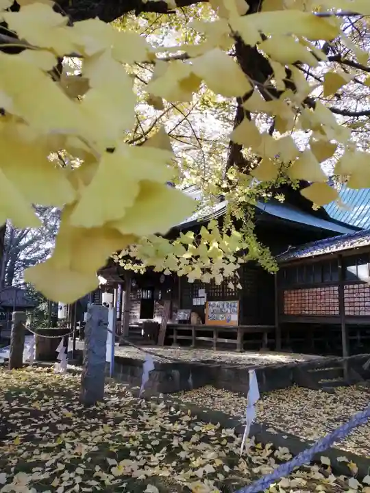 野木神社の自然