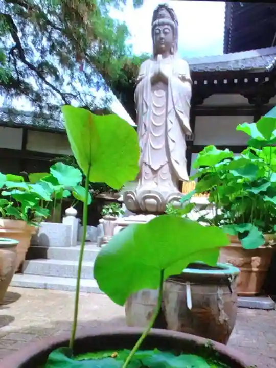 宗延寺(東京都)