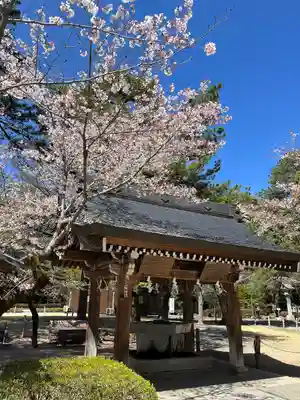 武田神社の手水舎