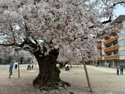 鹿島神社(茨城県)