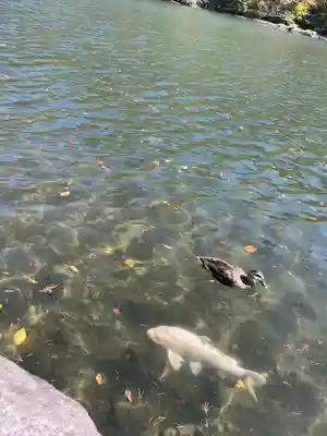 赤城神社(群馬県)