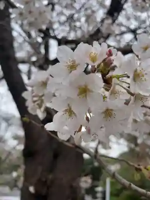 池上本門寺(東京都)
