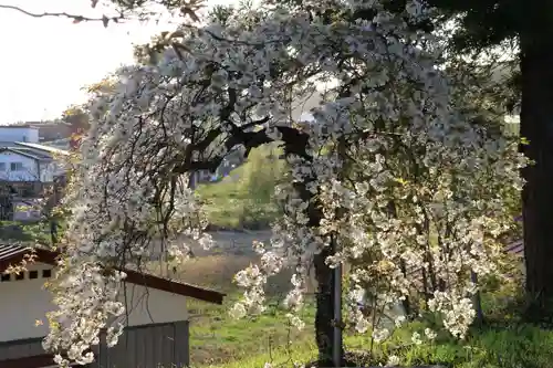 諏訪神社(福島県)