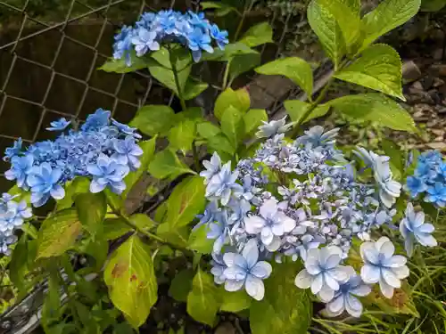 姫之宮奥宮(愛知県)