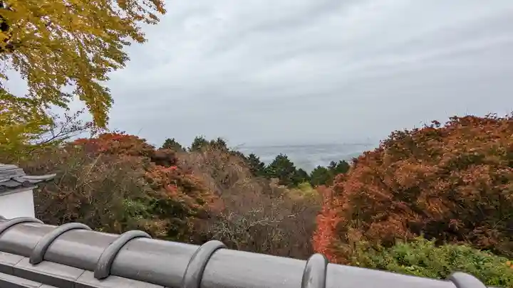 三鈷寺(京都府)