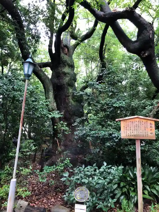 高座結御子神社(熱田神宮摂社)(愛知県)