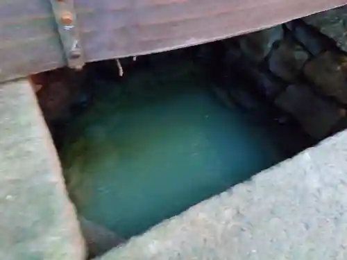 宇佐神宮(大分県)