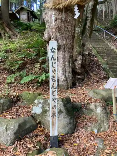 徳神社の自然