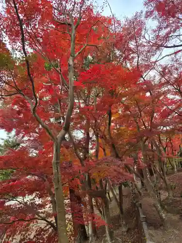 世尊寺(愛知県)