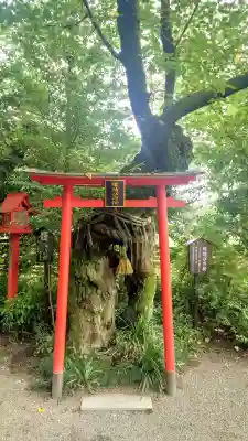 冠稲荷神社(群馬県)