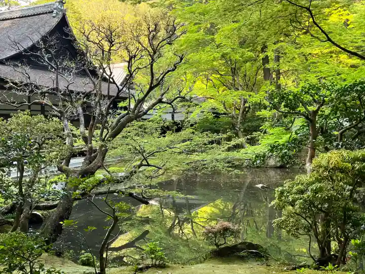 南禅院(京都府)