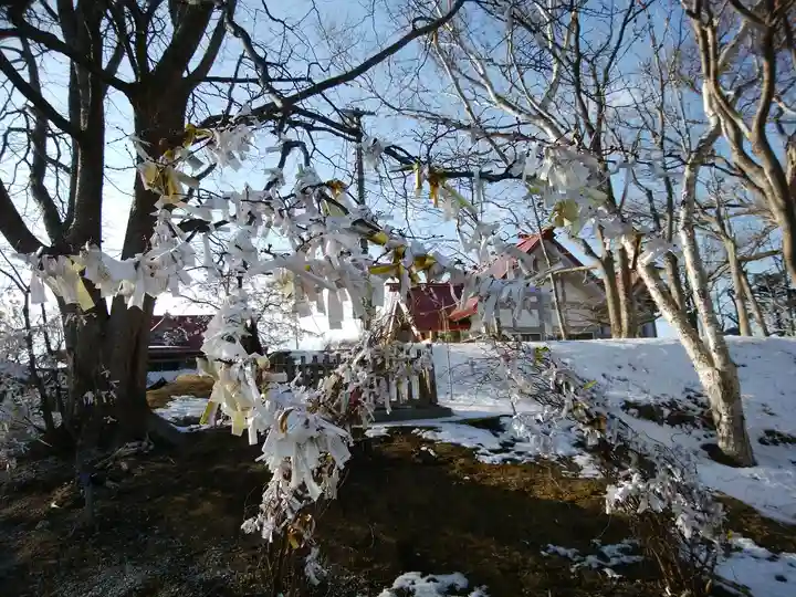 釧路一之宮 厳島神社のおみくじ