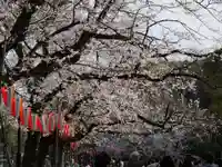 清水観音堂の自然