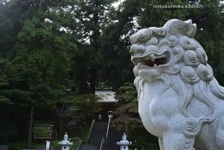 中氷川神社(埼玉県)