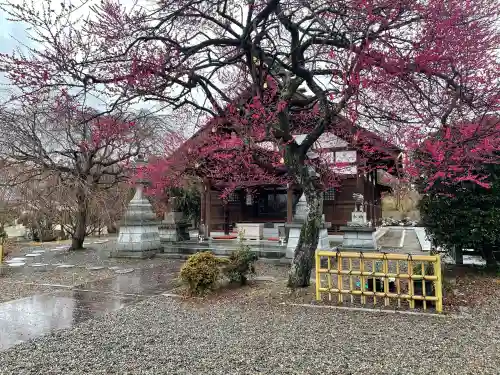 八幡宮の{uncategorized: "未分類", other: "その他", undefined: "問題あり", building: "その他建物", grave: "お墓", sacred_gate: "鳥居", guardian: "狛犬", statue: "像", buddha: "仏像", history: "歴史", nature: "自然", garden: "庭園", animal: "動物", pagoda: "塔", temizu: "手水舎", mountain_gate: "山門・神門", sanctuary: "本殿・本堂", subordinate: "末社・摂社", art: "芸術", scenery: "景色", jizo: "地蔵", ema: "絵馬", goshuin: "御朱印", omikuji: "おみくじ", items: "授与品その他", amulet: "お守り", goshuincho: "御朱印帳", eats: "食事", festival: "お祭り", votive_dance: "神楽", shichigosan: "七五三参", wedding: "結婚式", experience: "体験その他", initially: "初詣", around: "周辺", anti_infection: "感染症対策"}