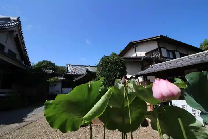 薬王寺(埼玉県)