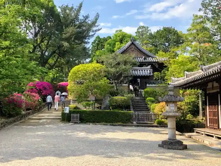 唐招提寺の庭園
