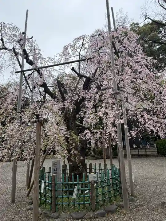 大國魂神社の{uncategorized: "未分類", other: "その他", undefined: "問題あり", building: "その他建物", grave: "お墓", sacred_gate: "鳥居", guardian: "狛犬", statue: "像", buddha: "仏像", history: "歴史", nature: "自然", garden: "庭園", animal: "動物", pagoda: "塔", temizu: "手水舎", mountain_gate: "山門・神門", sanctuary: "本殿・本堂", subordinate: "末社・摂社", art: "芸術", scenery: "景色", jizo: "地蔵", ema: "絵馬", goshuin: "御朱印", omikuji: "おみくじ", items: "授与品その他", amulet: "お守り", goshuincho: "御朱印帳", eats: "食事", festival: "お祭り", votive_dance: "神楽", shichigosan: "七五三参", wedding: "結婚式", experience: "体験その他", initially: "初詣", around: "周辺", anti_infection: "感染症対策"}