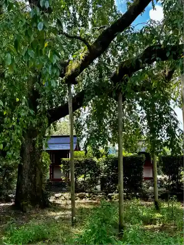 醍醐寺(京都府)