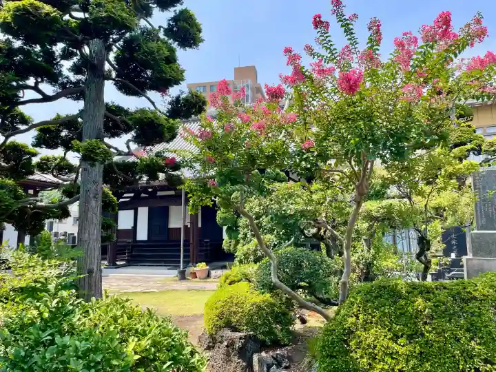 長円寺(静岡県)