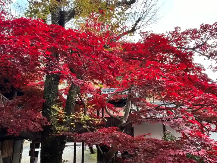 神峯山寺(大阪府)